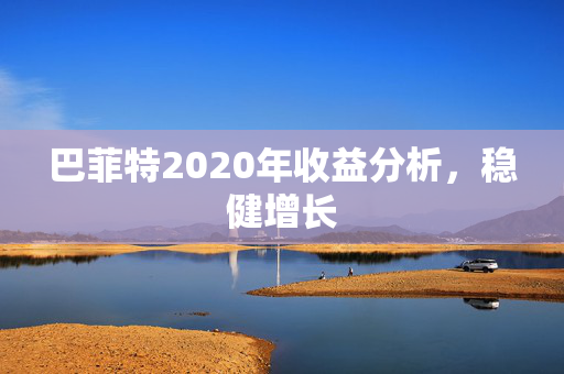 巴菲特2020年收益分析，稳健增长