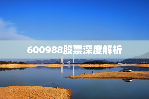 600988股票深度解析