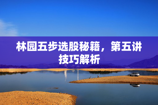 林园五步选股秘籍，第五讲技巧解析