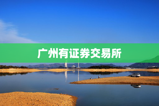 广州有证券交易所