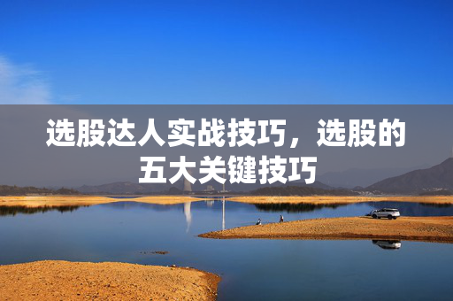 选股达人实战技巧，选股的五大关键技巧