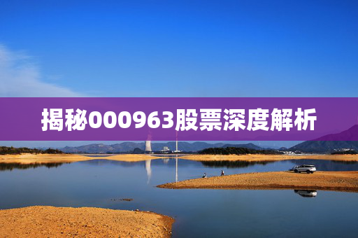 揭秘000963股票深度解析