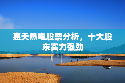 惠天热电股票分析，十大股东实力强劲