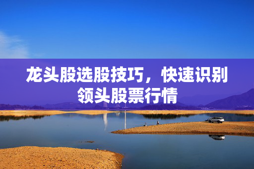 龙头股选股技巧，快速识别领头股票行情