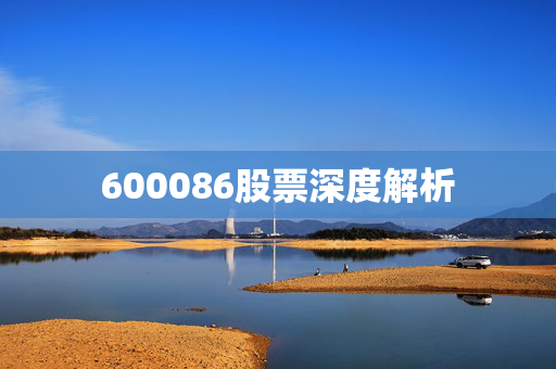 600086股票深度解析