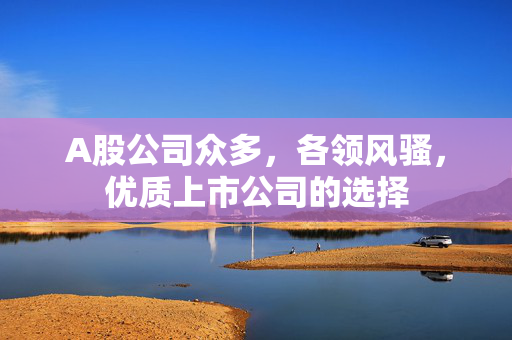 A股公司众多，各领风骚，优质上市公司的选择