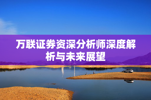 万联证券资深分析师深度解析与未来展望