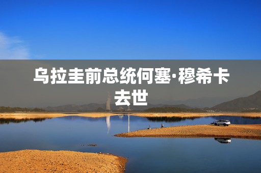 乌拉圭前总统何塞·穆希卡去世