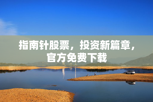指南针股票 第2页