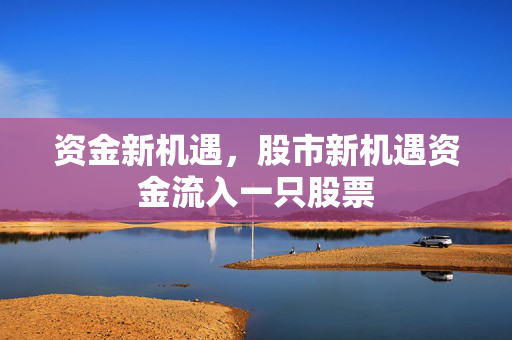 资金新机遇，股市新机遇资金流入一只股票