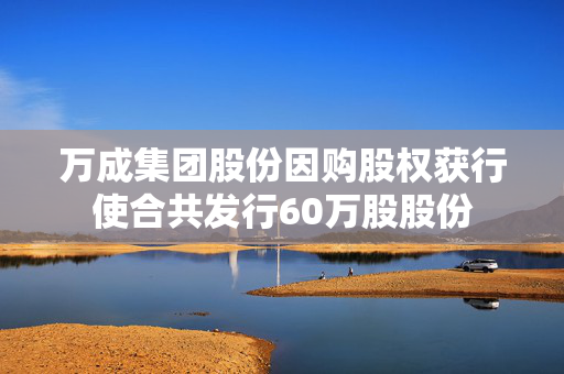 万成集团股份因购股权获行使合共发行60万股股份