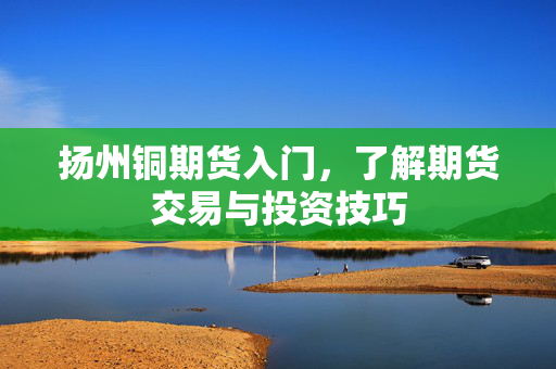 扬州铜期货入门，了解期货交易与投资技巧