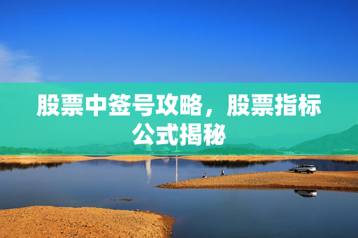 股票中签号攻略，股票指标公式揭秘