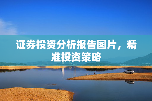 证券投资分析报告图片，精准投资策略