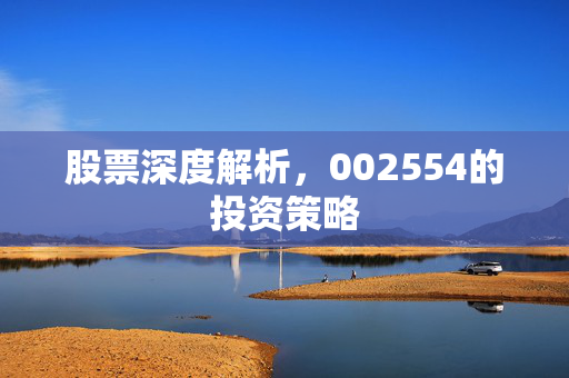 股票深度解析，002554的投资策略