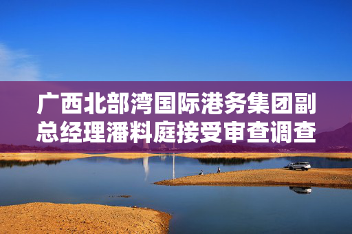 广西北部湾国际港务集团副总经理潘料庭接受审查调查