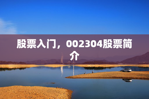 股票入门，002304股票简介
