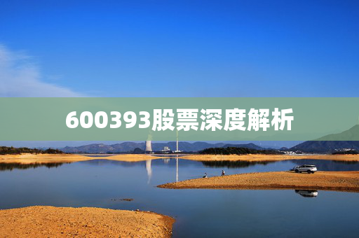 600393股票深度解析