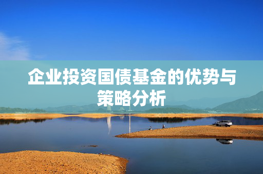 企业投资国债基金的优势与策略分析