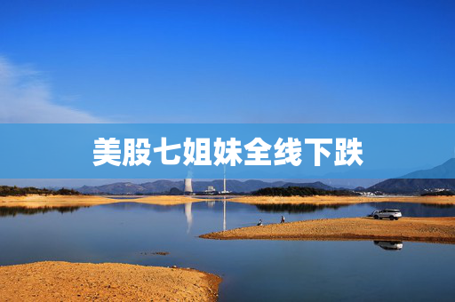 美股七姐妹全线下跌