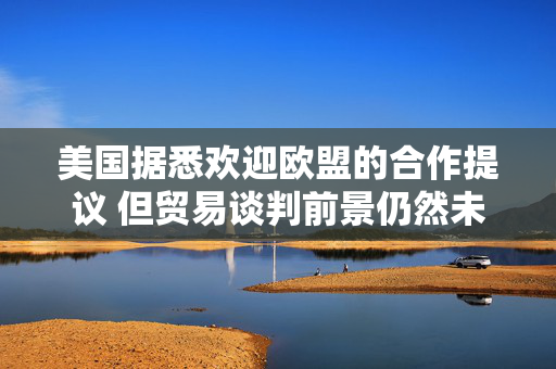 美国据悉欢迎欧盟的合作提议 但贸易谈判前景仍然未明