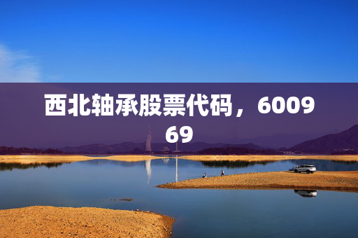 西北轴承股票代码，600969