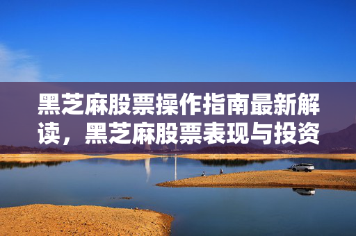 黑芝麻股票操作指南最新解读，黑芝麻股票表现与投资策略