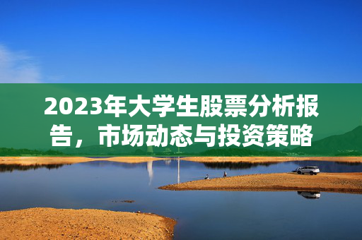 2023年大学生股票分析报告，市场动态与投资策略