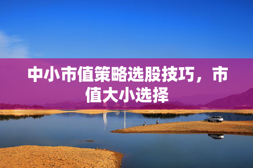 中小市值策略选股技巧，市值大小选择