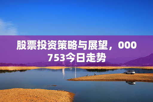 股票投资策略与展望，000753今日走势