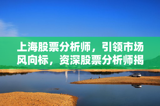 上海股票分析师，引领市场风向标，资深股票分析师揭秘市场动态
