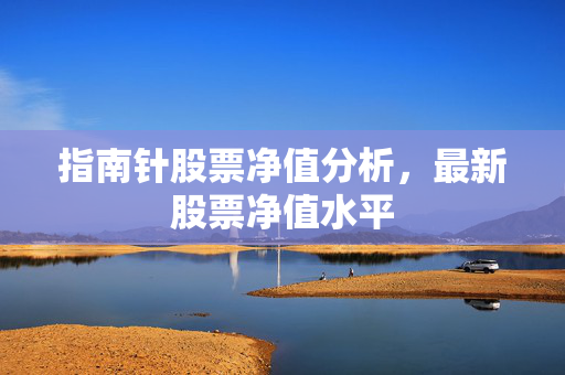 指南针股票净值分析，最新股票净值水平
