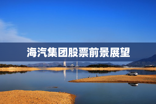 海汽集团股票前景展望