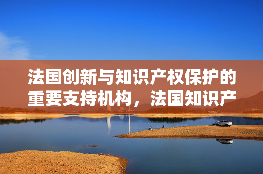 法国创新与知识产权保护的重要支持机构，法国知识产权基金介绍