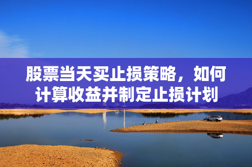 股票当天买止损策略，如何计算收益并制定止损计划