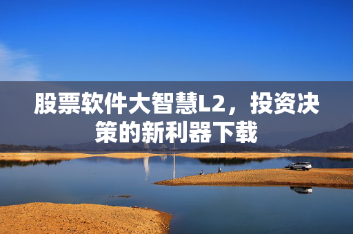 股票软件大智慧L2，投资决策的新利器下载