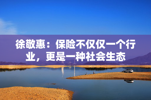 徐敬惠：保险不仅仅一个行业，更是一种社会生态