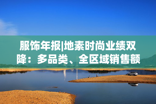 服饰年报|地素时尚业绩双降：多品类、全区域销售额下降 存货增加且周转效率下降