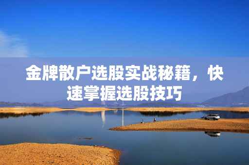 金牌散户选股实战秘籍，快速掌握选股技巧