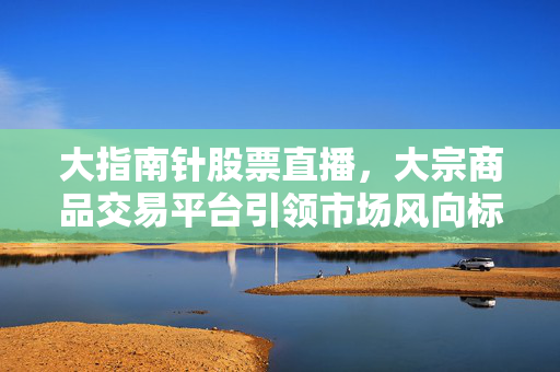大指南针股票直播，大宗商品交易平台引领市场风向标