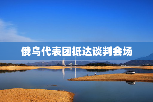 俄乌代表团抵达谈判会场