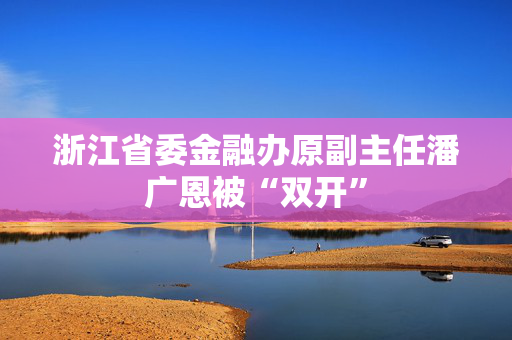 浙江省委金融办原副主任潘广恩被“双开”