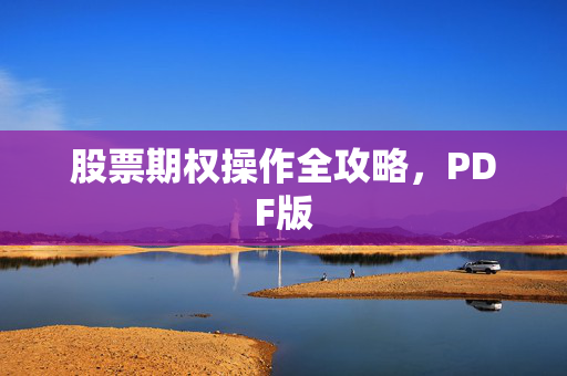 股票期权操作全攻略，PDF版