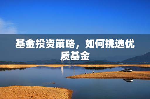 基金投资策略