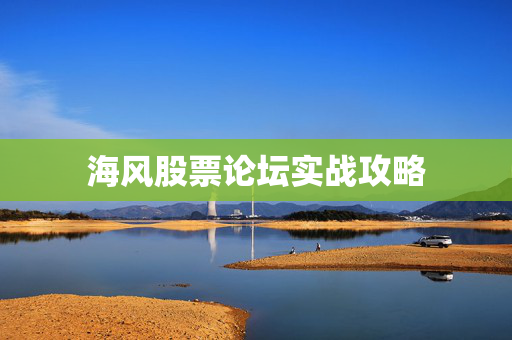 海风股票论坛实战攻略