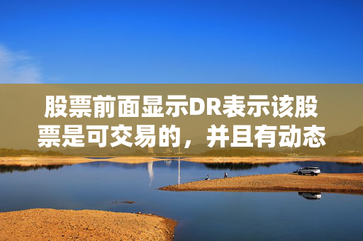 股票前面显示DR表示该股票是可交易的，并且有动态行情功能，同时XR代表该股票的交易状态为活跃，XRX代表该股票的前置条件或标记，如XRXD可能表示该股票在特定条件下需要更新或确认。