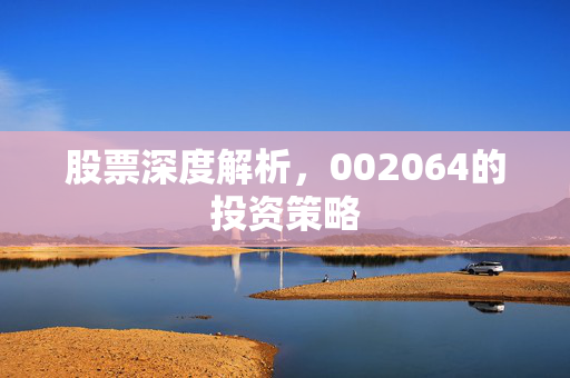 股票深度解析，002064的投资策略