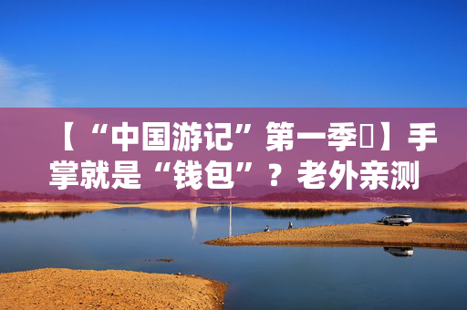 【“中国游记”第一季㉗】手掌就是“钱包”？老外亲测中国刷掌支付，直呼“大开眼界”！