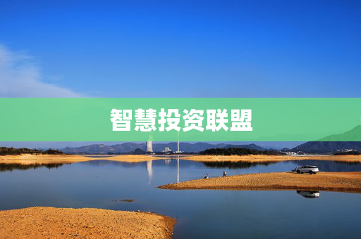 智慧投资联盟