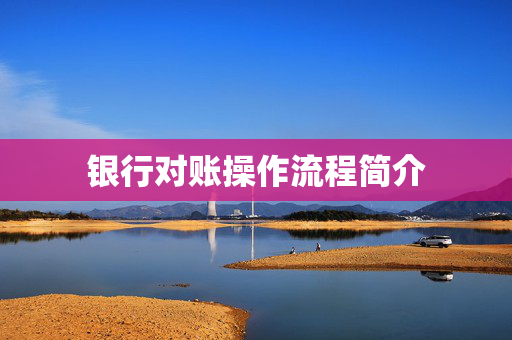 银行对账操作流程简介